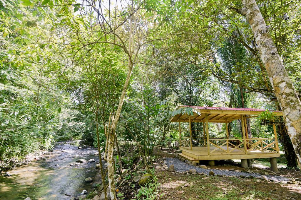 Hotel El Mono Feliz Ojochal Ngoại thất bức ảnh