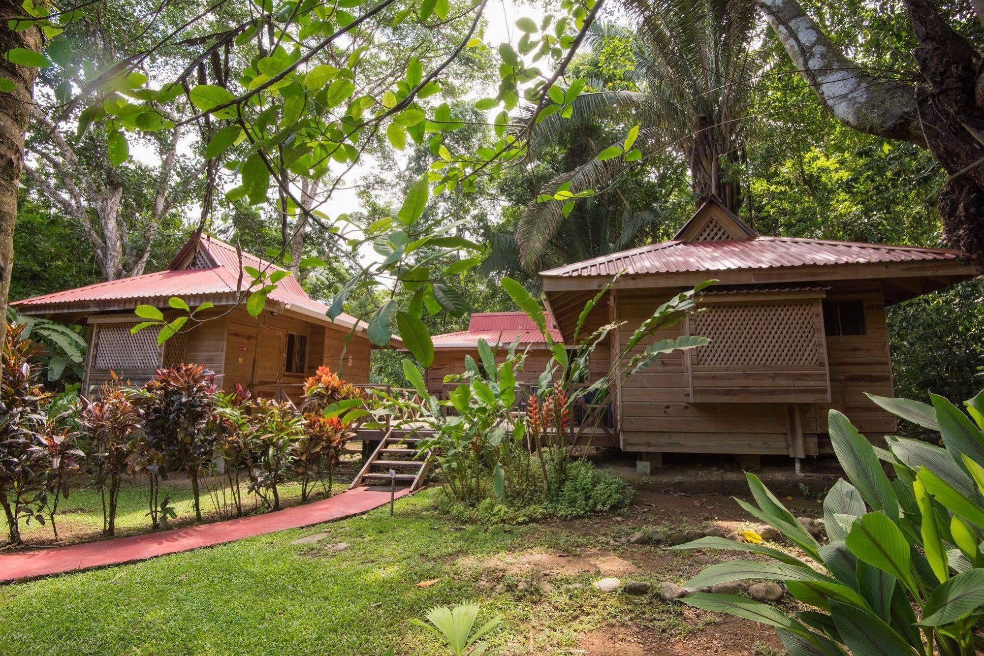 Hotel El Mono Feliz Ojochal Ngoại thất bức ảnh