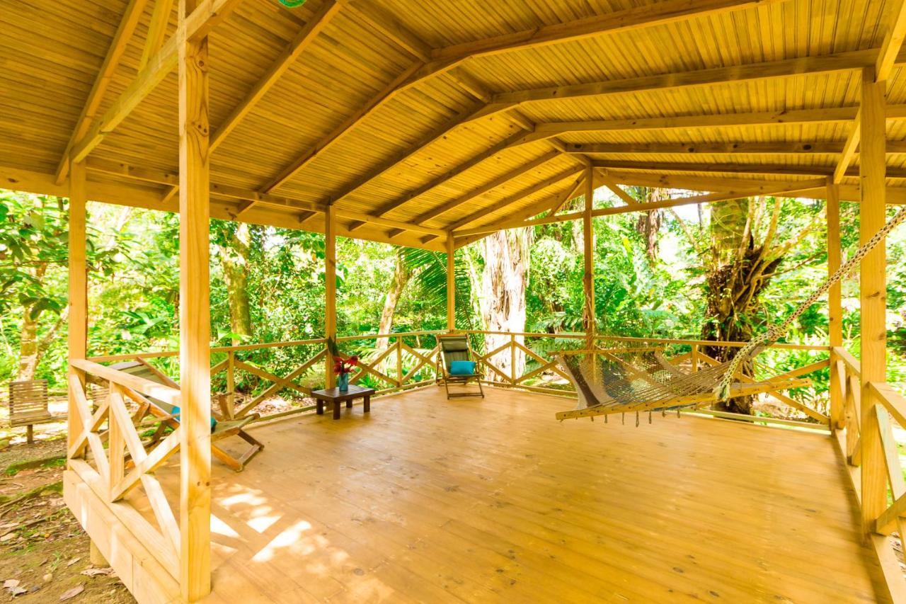 Hotel El Mono Feliz Ojochal Ngoại thất bức ảnh