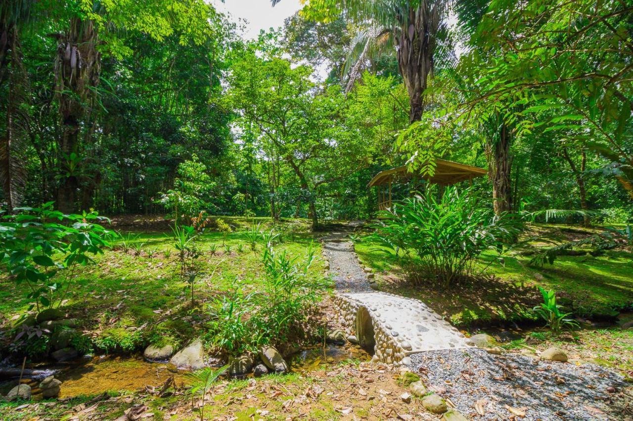 Hotel El Mono Feliz Ojochal Ngoại thất bức ảnh